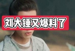 爆料娱乐圈的博主大锤小说,揭秘大锤小说中的幕后真相