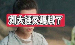 爆料娱乐圈的博主大锤小说,揭秘大锤小说中的幕后真相