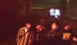 农村爆料结局视频播放大全,揭秘乡村生活真相