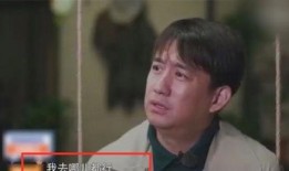 好友爆料黄磊完整视频,好友爆料背后的惊人真相