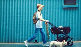 网友爆料遛狗视频大全下载,萌宠瞬间，欢乐无限