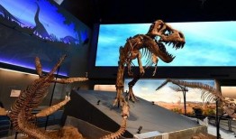 汉江水怪在线观看,一场惊心动魄的在线揭秘之旅