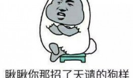 吃瓜表情包包下载免费,潮流神器轻松get！