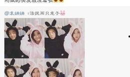 兔小兔娱乐圈爆料,明星幕后故事大揭秘