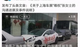 特斯拉张女士最新爆料,揭秘特斯拉内部秘密与挑战