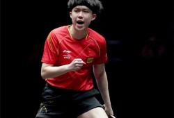 王楚钦圈内爆料视频合集,揭秘圈内不为人知的幕后故事