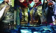 杨家女将之军令如山在线观看,铁血军魂，再现传奇！