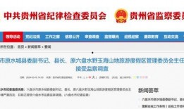 爆料大王企业家网易新闻,揭秘“爆料大王”企业家背后的故事