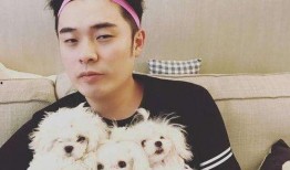 娱乐圈最牛的爆料人是谁,揭秘幕后真相的神秘推手