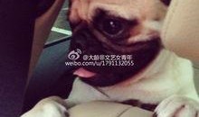 巴哥线索爆料了吗视频在线观看,揭秘幕后真相，在线观看不容错过