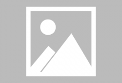 狗哥邻居爆料视频,一场邻里间的误会与和解