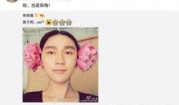 娱乐圈爆料贴纸图片高清,明星幕后真相大曝光