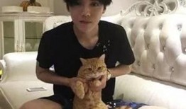 鹿晗女友爆料后续视频,真相大白，事件反转再引热议