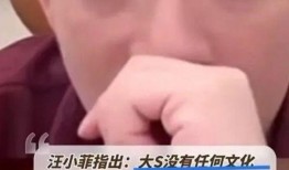 张兰爆料孙子视频,揭秘豪门家族温馨瞬间