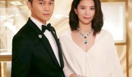 大瓜爆料视频娱乐圈,揭秘明星背后的惊人真相