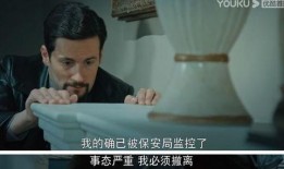 胜算在线观看,揭秘战争背后的智慧较量