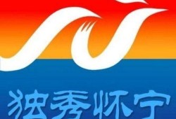 怀宁媒体爆料最新消息,重大事件引发社会关注