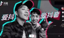 三亚抖音爆料事件视频播放,揭秘热门事件背后真相