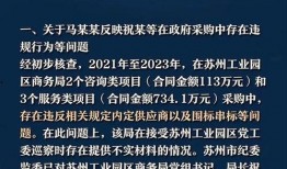 举报者 在线观看,在线观看背后的真相与启示