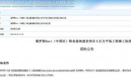 安岳新闻爆料最新消息视频,视频揭示惊人事件详情