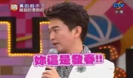 娱乐大爆料陈思成是谁啊,娱乐大爆料中的影视界风云人物