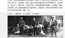 潮州金石爆料事件始末视频,揭秘背后真相与网络舆论风暴