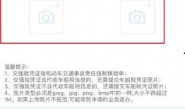 西瓜六点爆料是真的吗视频,西瓜六点爆料视频真实性揭秘