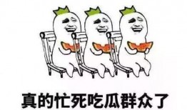 吃瓜贵妃自我修养免费,解锁宫廷美食与娱乐的奥秘