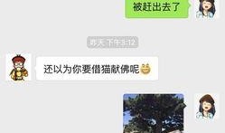 如何爆料给新闻哥,如何高效爆料，助力真相传播