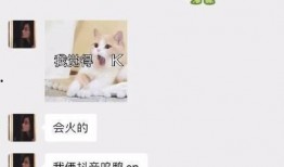 娱乐吃瓜酱聊天梗,吃瓜酱聊天梗背后的故事