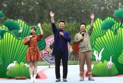 吴川最新爆料新闻视频,揭秘视频背后的惊人真相