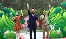 吴川最新爆料新闻视频,揭秘视频背后的惊人真相