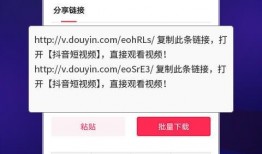 非匿名指令最新爆料视频