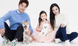 甜馨李小璐最新爆料,最新爆料揭露惊人内幕