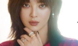 孙英雄爆料娱乐圈女星,揭秘明星背后的真实生活