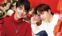 娱乐圈吃瓜爆料四字弟弟,揭秘明星背后的故事