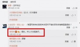 最新币圈项目爆料及分析