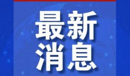 有爆料新闻,爆料新闻背后的惊人真相