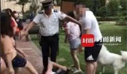 网友爆料遛狗视频大全下载,萌宠瞬间，欢乐无限