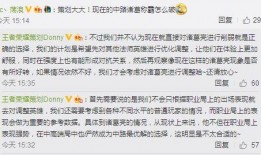 返场最新爆料视频大全集,精彩瞬间回顾与幕后揭秘