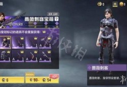 蔷薇刺客外服爆料视频,全新内容与玩法大揭秘