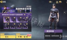 蔷薇刺客外服爆料视频,全新内容与玩法大揭秘