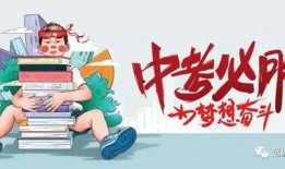 百豪最新爆料消息,揭秘行业新动态，带你领略科技前沿