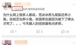 养小鬼爆料视频,视频爆料揭示神秘仪式与真实效果